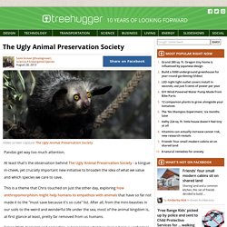 The Ugly Animal Preservation Society