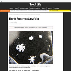 How to Preserve a Snowflake – Scout Life magazine