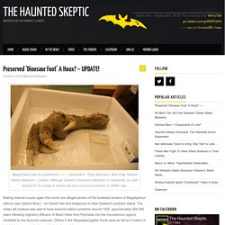 Preserved 'Dinosaur Foot' A Hoax? - UPDATE! - The Haunted Skeptic