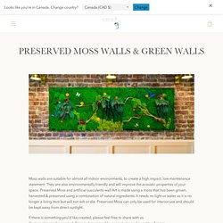 Preserved Moss Walls, Bespoke Moss Wall Art – mossartbyrishstudio