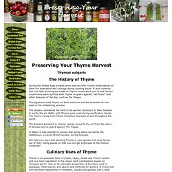 Preserving Your Thyme Harvest