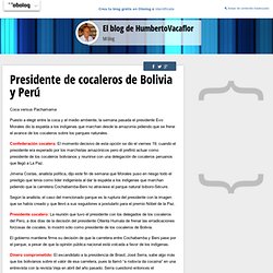 Presidente de cocaleros de Bolivia y Perú