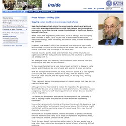 Press Release - 09 May 2006 - University of Bath