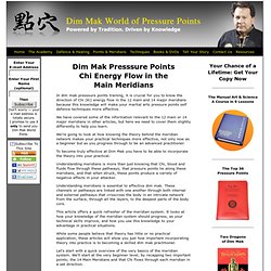 Dim Mak Presssure Points Chi Energy Flow Main Meridians