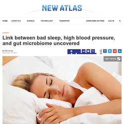 Link between bad sleep, high blood pressure, and gut microbiome uncovered