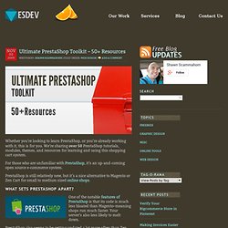 Es Developed - Fresh Website and Graphic Design