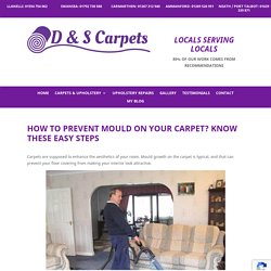 How to Prevent Mould on Your Carpet? Know These Easy Steps - D & S Carpets