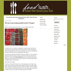 The key to preventing moldy berries? Vinegar! - Food Lush