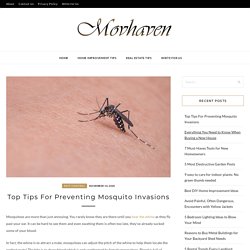 Top Tips For Preventing Mosquito Invasions