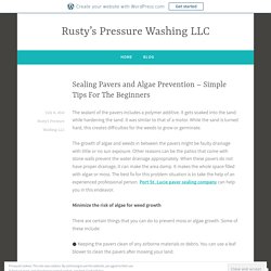 Sealing Pavers and Algae Prevention – Simple Tips For The Beginners – Rusty’s Pressure Washing LLC