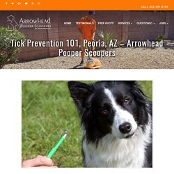 Tick Prevention Peoria, AZ - Best Ways to Get Rid & Prevent Ticks on Dogs