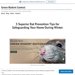 5 Superior Rat Prevention Tips for Safeguarding Your Home During Winter – Green Rodent Control
