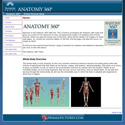 Primal Pictures Anatomy 360