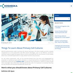 Things To Learn About Primary Cell Cultures
