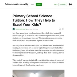 Primary School Science Tuition: How They Help to Excel Your Kids?