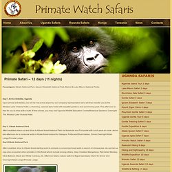 Primate Safari – 12 days (11 nights)