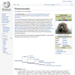 Primatomorpha
