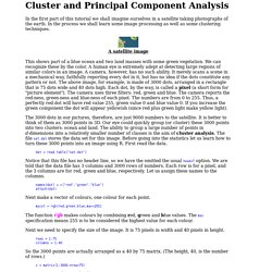 Cluster and Principal Component Analysis