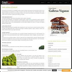 cocina para principiantes: todo sobre el brócoli