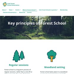 Key principles of Forest School – Irish Forest School Association