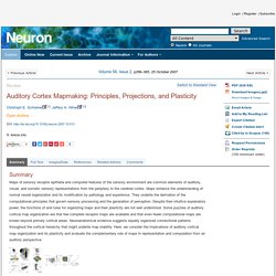 Auditory Cortex Mapmaking: Principles, Projections, and Plasticity