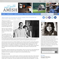 Almost Amish: Five Principles for a Slower, Simpler, More Sustainable Life