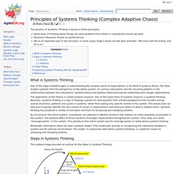 Principles of Systems Thinking (Complex Adaptive Chaos) - AgileBok.org