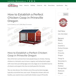 How to Establish a Chicken Coop in Prineville Oregon - Outbuilders.com