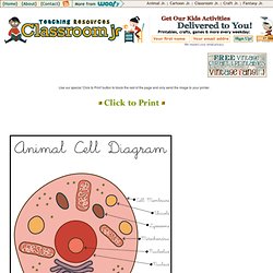 Printable Cell Diagrams Animal Cell Diagram – Classroom Jr.