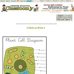 Printable Cell Diagrams Plant Cell Diagram – Classroom Jr.