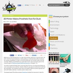 3D Printer Makes Prosthetic Foot For Duck