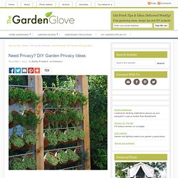 Need Privacy? DIY Garden Privacy Ideas