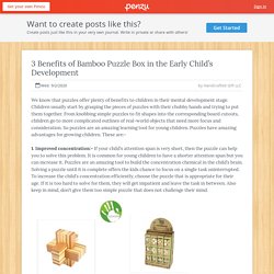 3 Benefits of Bamboo Puzzle Box in the Early Child’s Development