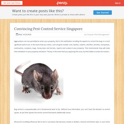 Convincing Pest Control Service Singapore
