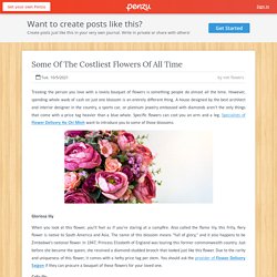 Some Of The Costliest Flowers Of All Time