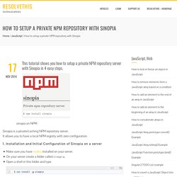 How to setup a private npm repository with Sinopia