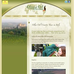 Olive Oil of The World
