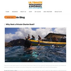 Why You Should Rent a Private Charter Boat - Ultimate Whalewatch & Snorkel