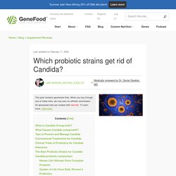 The Best Probiotic Strains to Defeat Candida - Gene Food