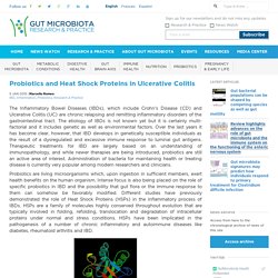 Probiotics and Heat Shock Proteins in Ulcerative Colitis