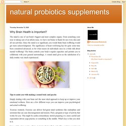 Natural Probiotics Supplements: Why Brain Health is Important?
