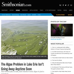 The Algae Problem in Lake Erie Isn’t Going Away Anytime Soon