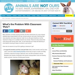 What's the Problem With Classroom 'Pets'?