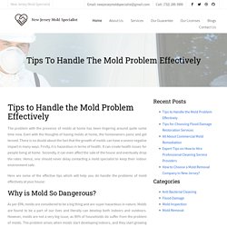 Tips to Handle the Mold Problem Effectively