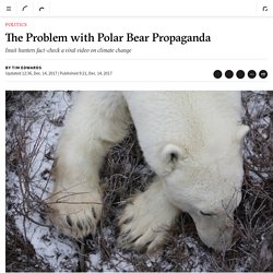 The Problem with Polar Bear Propaganda