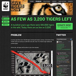 Save Tigers Now