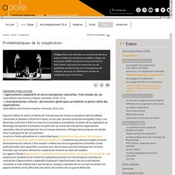 Problématiques de la coopération - Association Opale
