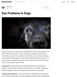Eye Problems In Dogs