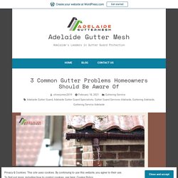 3 Common Gutter Problems Homeowners Should Be Aware Of – Adelaide Gutter Mesh