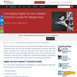 What is Agile Process & Scrum Methodology? Agile Scrum Master Tutorial